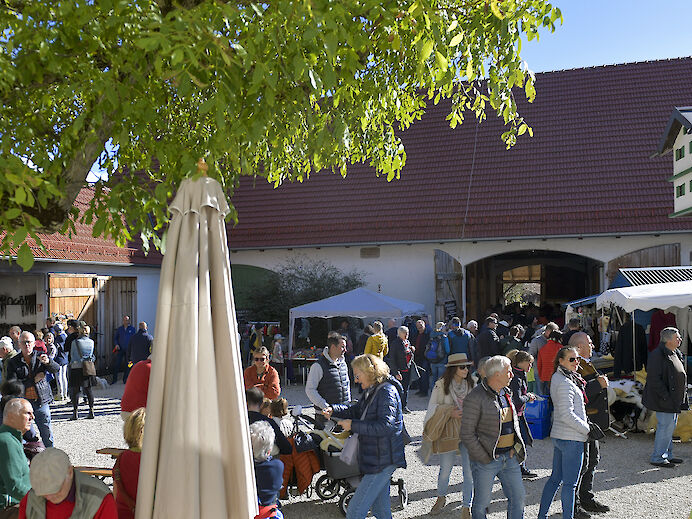 Frühshoppen bei Live-Musik