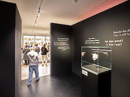 Ausstellung "Ansichtssache" im DMMI