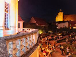 Blick auf den Arzneipflanzengarten des DMMI